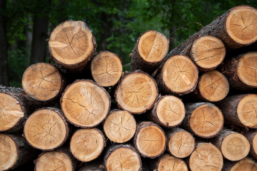 Producenci drewna Małopolska Drewno Małopolska oferta